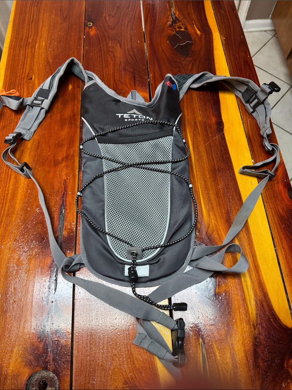 Teton Sports Gray Hydration Pack Backpack - Men's